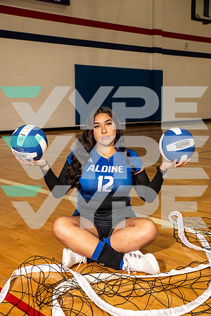 ALDINE_VB_0249-(BROWN)