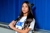 ALDINE_SFBL-(COLLIER)-00173