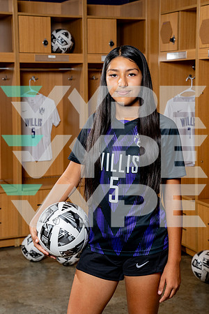 WILLIS_GSOC-(BCC)-00694