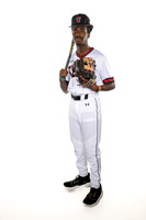 TERRY_BSBL_4-(BROWN)-3566
