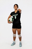 PASADENA_VB_0006_(BROWN)