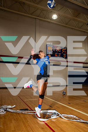 ALDINE_VB_0276-(BROWN)