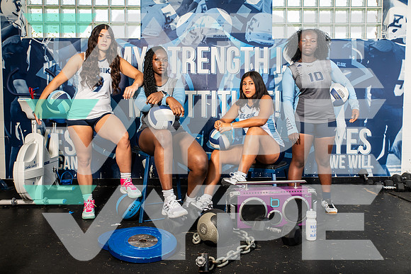 ELSIK_VOLLEYBALL_7862-(WRIGHT)