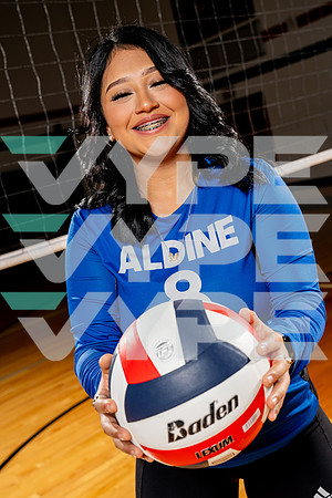 ALDINE_VB-(COLLIER)-6