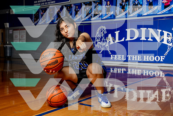 ALDINE_GBB-(BROWN)-405