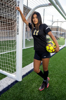 SPRING_WOODS_GSOC__16-(HARTOJO)
