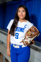 ALDINE_SFBL-(COLLIER)-00176