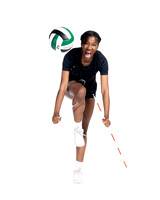 KLEIN FOREST_VB-(COLLIER)-12