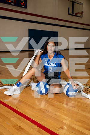 ALDINE_VB_0256-(BROWN)