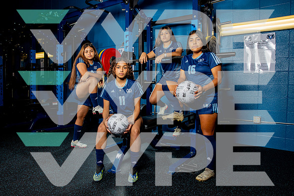 ELSIK_GSOC-(BROWN)-2783