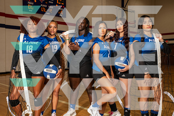 ALDINE_VB_0226-(BROWN)