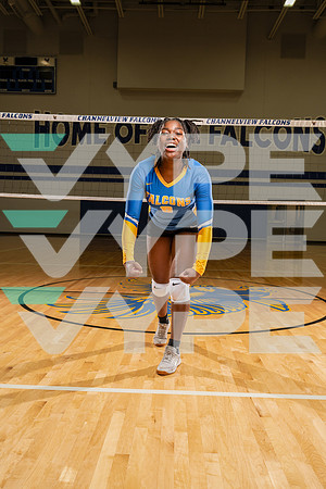 CHANNELVIEW_VOLLEYBALL_8838-(COLLIER)