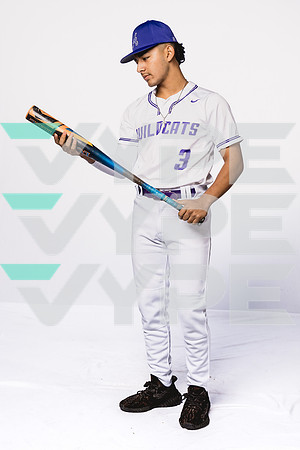 ANGLETON_BSBL-(BROWN)-00000933