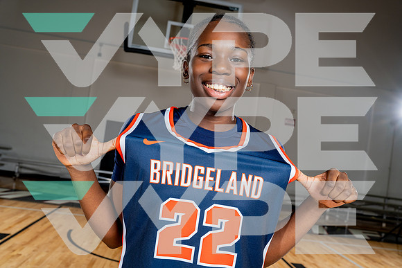 BRIDGELAND_GBB-(COLLIER)-00692