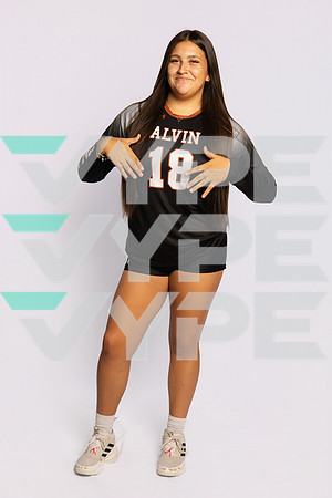 0F9A0751-ALVIN_VOLLEYBALL-(BROWN)