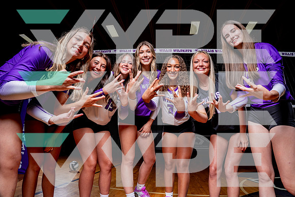 WILLIS_VB-(COLLIER)-8