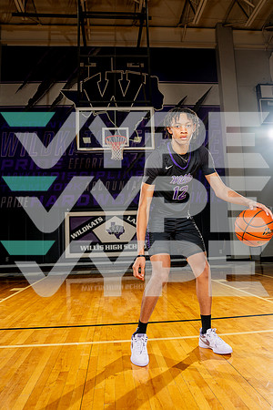 WILLIS_BB-(BCC)-00290