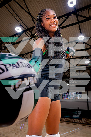 RUDDER_VB-(HINSON)-25