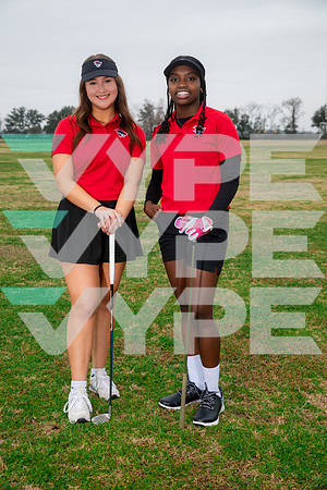 GCM_GOLF_1, 5-(WRIGHT)-2941