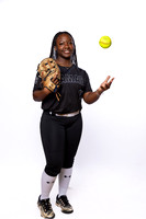 LAMAR_CONSOLIDATED_SFBL_1-(BROWN)-00003120