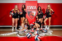 IWA_VB-(COLLIER)-6