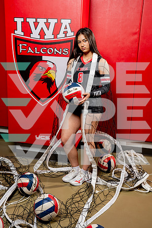 IWA_VB-(COLLIER)-18