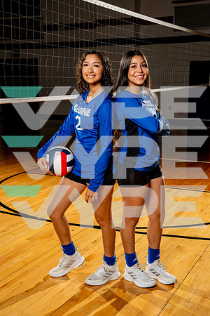 ALDINE_VB-(COLLIER)-43