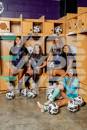 WILLIS_GSOC-(BCC)-00668