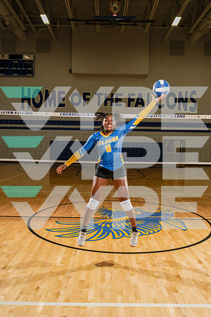 CHANNELVIEW_VOLLEYBALL_8844-(COLLIER)