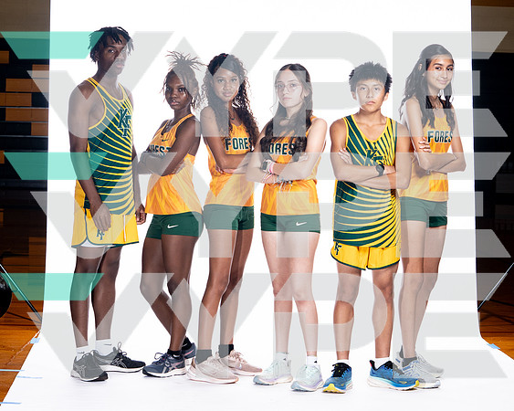 KLEIN FOREST_XC-(COLLIER)-1
