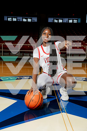 TRAVIS_GBB_-(BCC)-2013