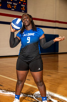 ALDINE_VB_0238-(BROWN)