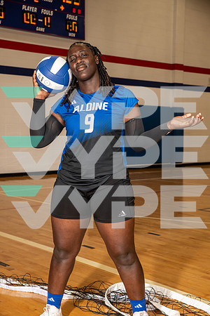 ALDINE_VB_0238-(BROWN)