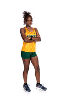 KLEIN FOREST_XC-(COLLIER)-12