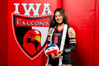 IWA_VB-(COLLIER)-19