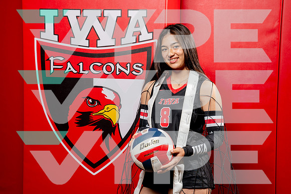 IWA_VB-(COLLIER)-19