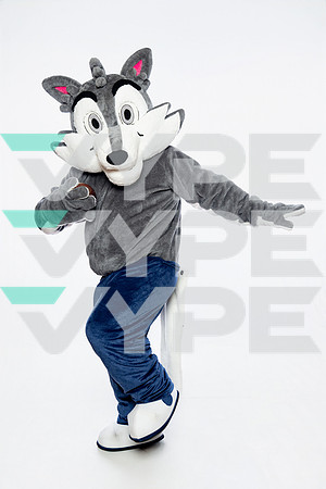 ST_FRANCIS_MASCOT_SNY00003-3-(COLLIER)