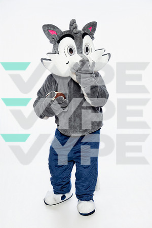 ST_FRANCIS_MASCOT_SNY00004-3-(COLLIER)