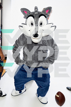 ST_FRANCIS_MASCOT_SNY00008-3-(COLLIER)