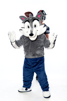 ST_FRANCIS_MASCOT_SNY00025-2-(COLLIER)