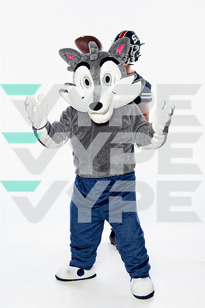 ST_FRANCIS_MASCOT_SNY00025-2-(COLLIER)