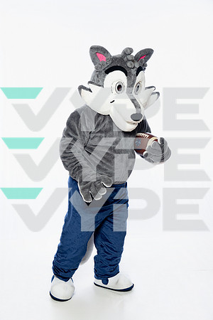 ST_FRANCIS_MASCOT_SNY00027-2-(COLLIER)