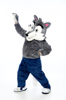 ST_FRANCIS_MASCOT_SNY00026-2-(COLLIER)