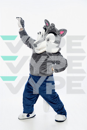 ST_FRANCIS_MASCOT_SNY00026-2-(COLLIER)