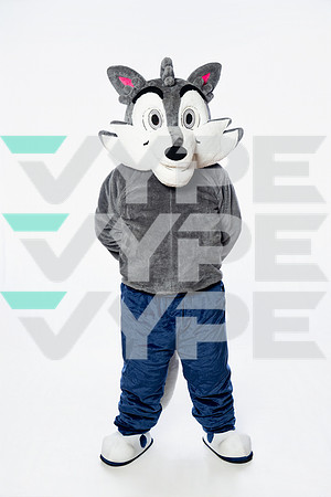ST_FRANCIS_MASCOT_SNY00028-2-(COLLIER)