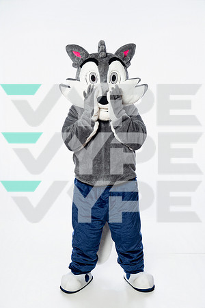 ST_FRANCIS_MASCOT_SNY00029-2-(COLLIER)
