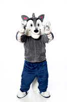 ST_FRANCIS_MASCOT_SNY00034-2-(COLLIER)