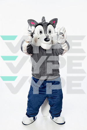 ST_FRANCIS_MASCOT_SNY00034-2-(COLLIER)