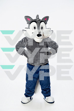 ST_FRANCIS_MASCOT_SNY00030-2-(COLLIER)