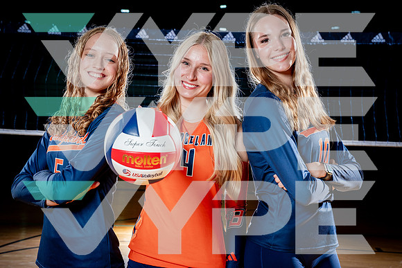 BRIDGELAND_VB-(COLLIER)-5